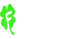 Fortunica Casino